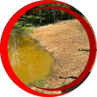 Pond Building Icon